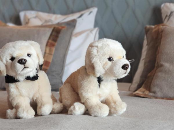 Hôtel Macchi Restaurant & Spa : photo 5 de la chambre chambre triple privilège