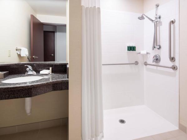 Courtyard Seattle Downtown / Pioneer Square : photo 6 de la chambre chambre lit king-size avec canapé-lit