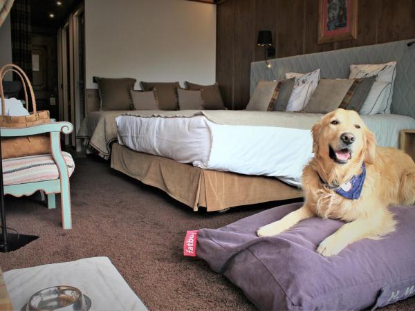 Hôtel Macchi Restaurant & Spa : photo 8 de la chambre chambre triple privilège