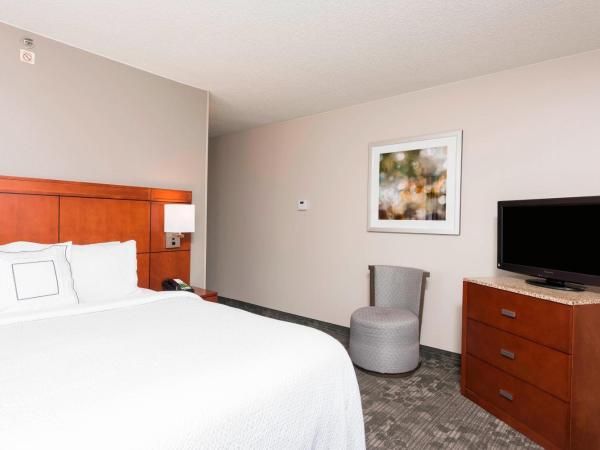 Courtyard Louisville Downtown : photo 3 de la chambre suite lit king-size et canapé-lit