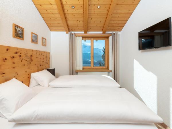 Berghotel Randolins : photo 8 de la chambre broom closet