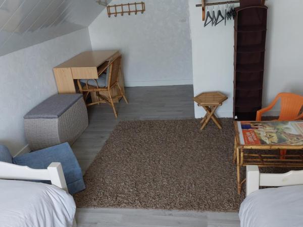 Chambres d'Hôtes de l'Ile du Saule : photo 10 de la chambre chambre familiale - vue sur jardin