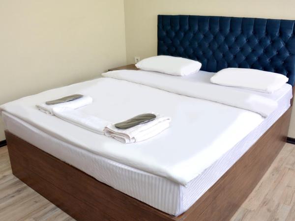 palmiye suıt otel : photo 6 de la chambre studio