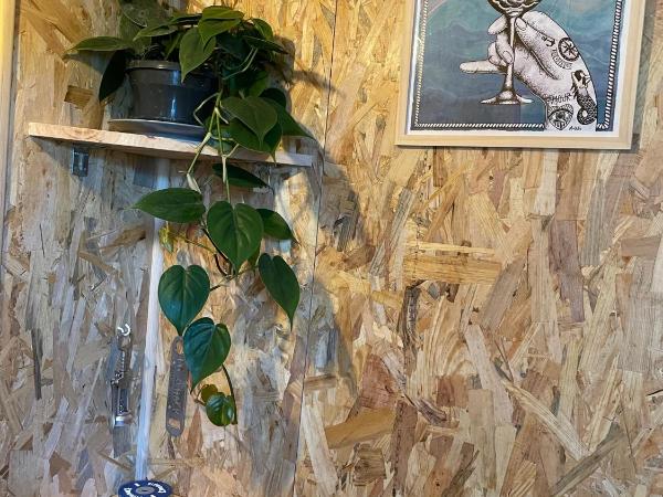 La Wodapalousa, Surf & Crossfit Guesthouse, 800m from Beach : photo 10 de la chambre appartement - vue sur jardin