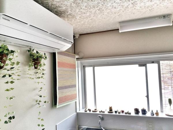 Guesthouse Oasis : photo 4 de la chambre chambre lits jumeaux