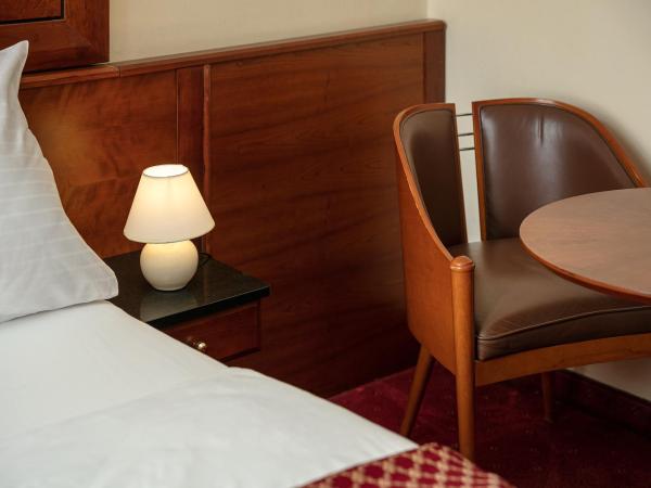 Spa Hotel Villa Smetana : photo 1 de la chambre chambre double ou lits jumeaux confort avec accès au centre de bien-Être