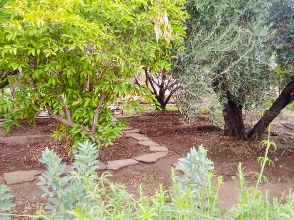 La Ferme des Tipis Marrakech : photo 5 de la chambre tente