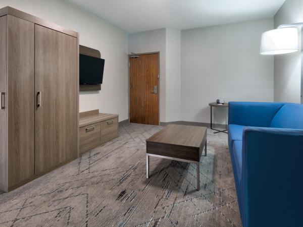 Holiday Inn Express & Suites - Dallas Park Central Northeast, an IHG Hotel : photo 4 de la chambre suite lit king-size – non-fumeurs