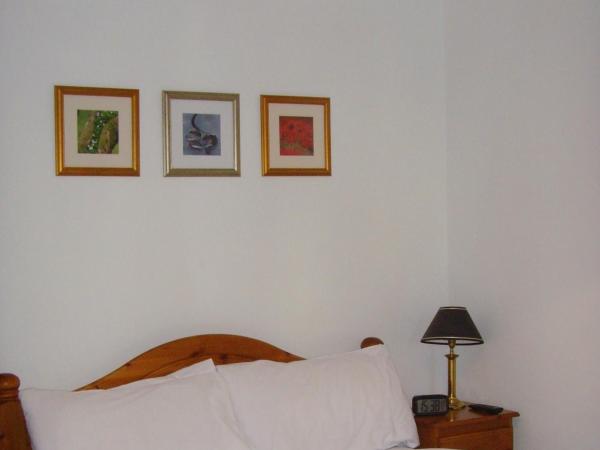 Twin Lions Hotel : photo 2 de la chambre chambre double avec salle de bains privative