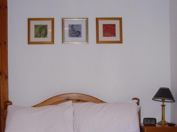 Twin Lions Hotel : photo 1 de la chambre chambre double avec salle de bains privative