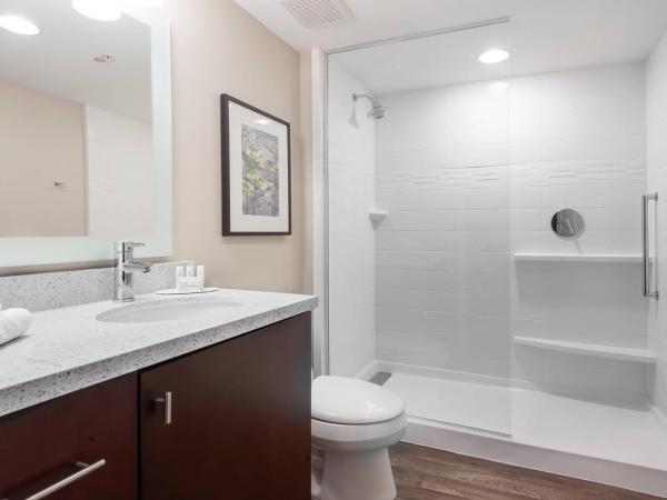 TownePlace Suites by Marriott Austin Parmer/Tech Ridge : photo 4 de la chambre studio avec lit king-size et canapé-lit