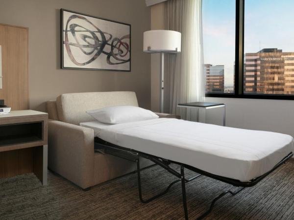 Houston Marriott Medical Center/Museum District : photo 4 de la chambre guest room, king bed with sofa bed