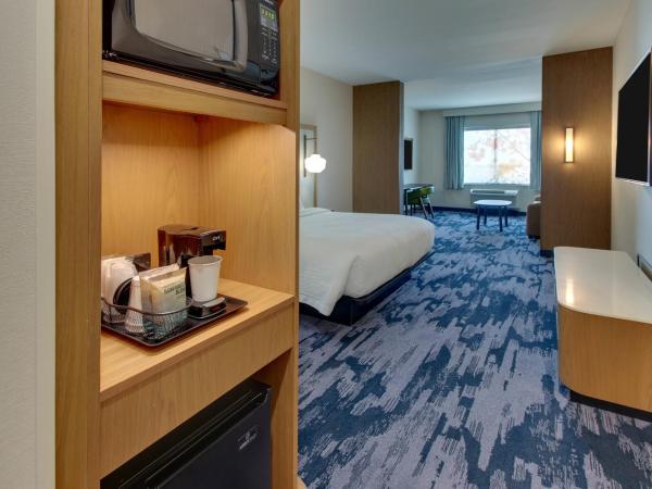 Fairfield Inn and Suites by Marriott Houston Brookhollow : photo 4 de la chambre suite lit king-size et canapé-lit