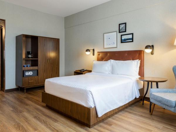 Four Points by Sheraton Monterrey Airport : photo 3 de la chambre studio lit king-size