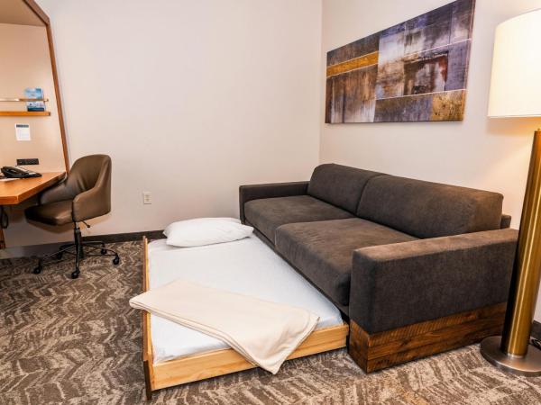 Springhill Suites by Marriott San Antonio Alamo Plaza/Convention Center : photo 2 de la chambre suite lit king-size avec canapé-lit