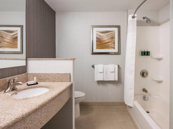 Courtyard by Marriott Edmonton West : photo 4 de la chambre chambre lit king-size avec canapé-lit