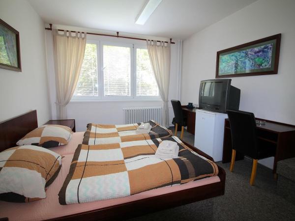 Hotelový dům Areál : photo 2 de la chambre chambre deluxe double ou lits jumeaux