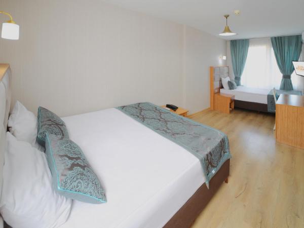 Istanbul Panorama Hotel : photo 6 de la chambre chambre double ou lits jumeaux
