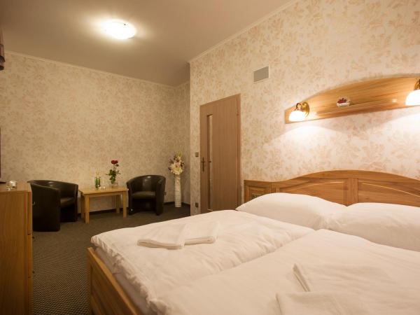 Spa Hotel MILLENIUM Karlovy Vary : photo 2 de la chambre double room with dinner and hourly entrance to the sauna world