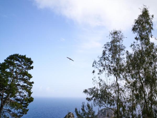 Villacore Luxury B&B : photo 6 de la chambre chambre standard double avec salle de bains privative séparée