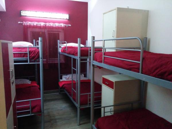 Joey's Hostel Delhi : photo 2 de la chambre lit dans dortoir pour femmes de 6 lits