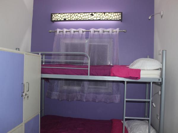 Joey's Hostel Delhi : photo 10 de la chambre lit dans dortoir mixte de 4 lits