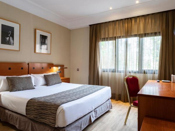 Petit Palace Arturo Soria Alcalá : photo 5 de la chambre chambre double ou lits jumeaux (1-2 adultes)