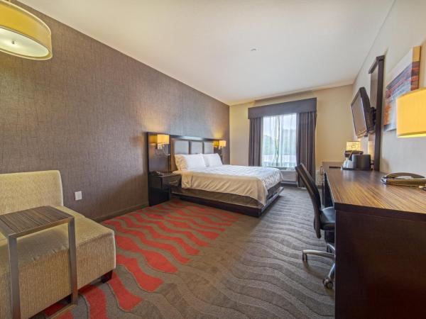 Holiday Inn Houston West - Westway Park, an IHG Hotel : photo 3 de la chambre chambre lit king-size standard