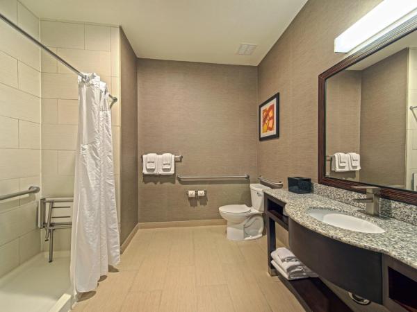 Holiday Inn Houston West - Westway Park, an IHG Hotel : photo 10 de la chambre standard king room with roll-in shower - communications access