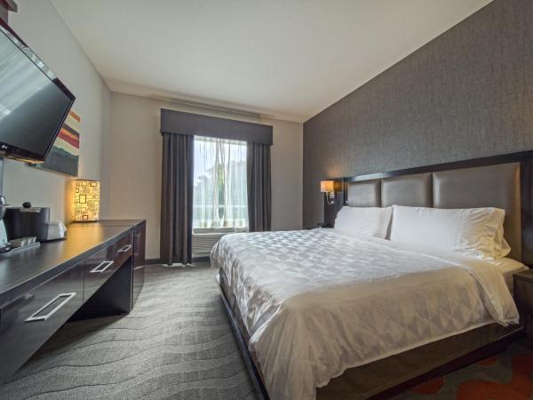 Holiday Inn Houston West - Westway Park, an IHG Hotel : photo 5 de la chambre chambre lit king-size standard