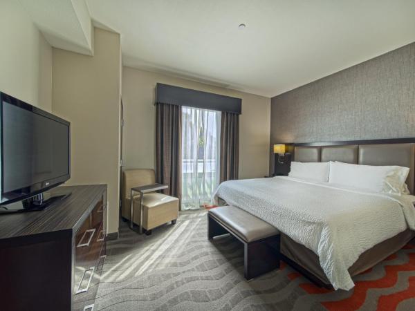 Holiday Inn Houston West - Westway Park, an IHG Hotel : photo 9 de la chambre suite 1 chambre lit king-size