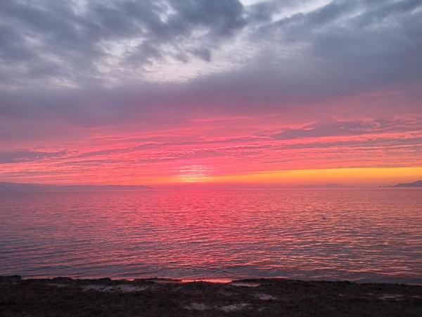 Le Surplage : photo 2 de la chambre studio - vue sur mer