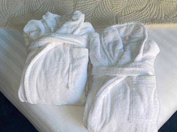 Hôtel les 4 éléments : photo 6 de la chambre chambre double