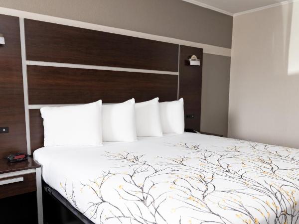 Magnuson Hotel Virginia Beach : photo 4 de la chambre executive business king non-smoking