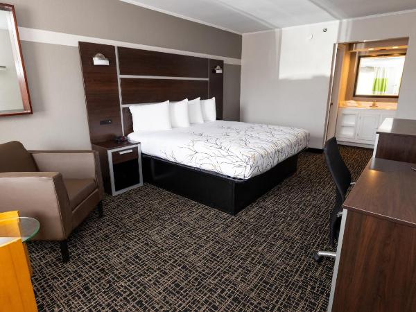 Magnuson Hotel Virginia Beach : photo 5 de la chambre executive business king non-smoking