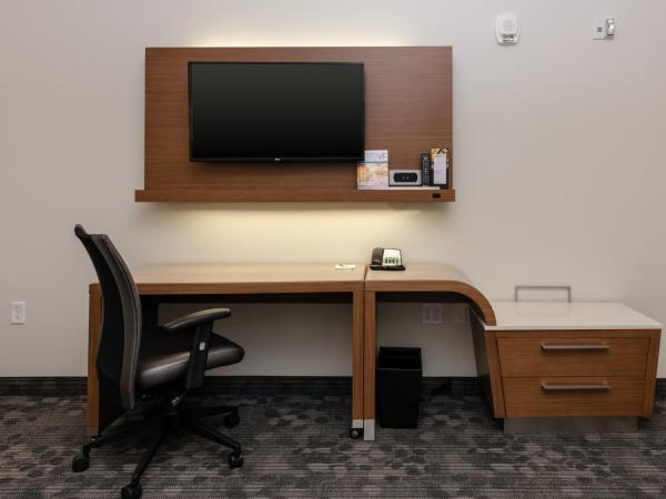Courtyard by Marriott Savannah Airport : photo 6 de la chambre chambre lit king-size avec canapé-lit