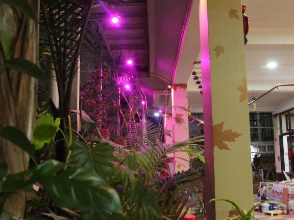 The Elite Apartment Hotel : photo 7 de la chambre chambre double standard