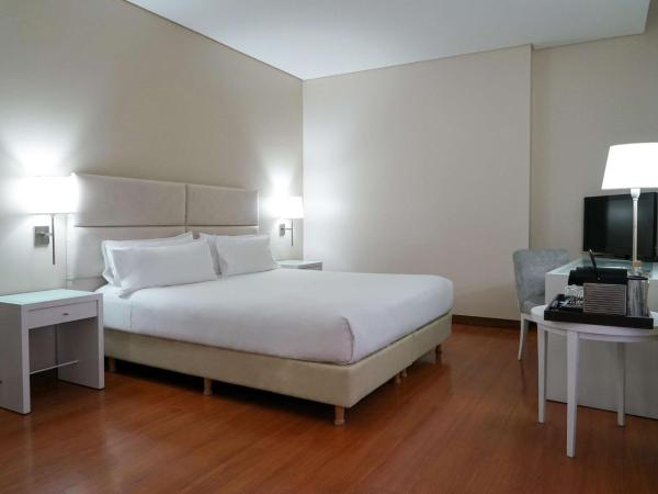 NH Mendoza Cordillera : photo 1 de la chambre chambre double ou lits jumeaux supérieure