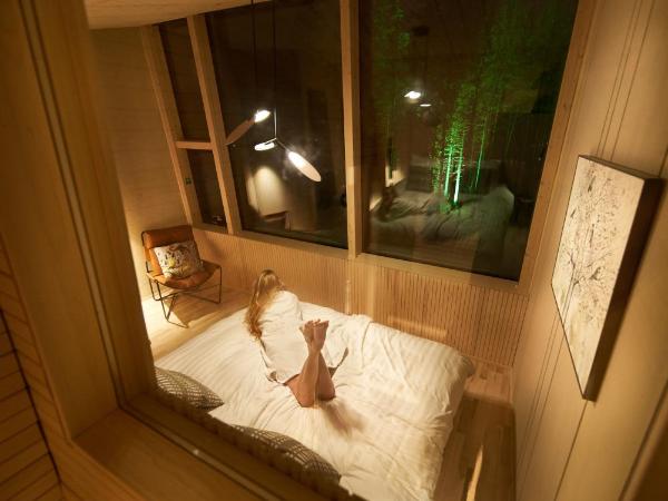 Nova Skyland Hotel : photo 5 de la chambre suite lit double aurora