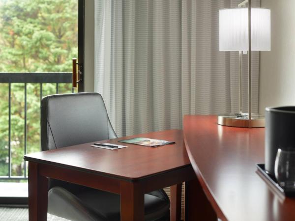 Courtyard by Marriott Nashville Airport : photo 3 de la chambre chambre lit king-size avec canapé-lit