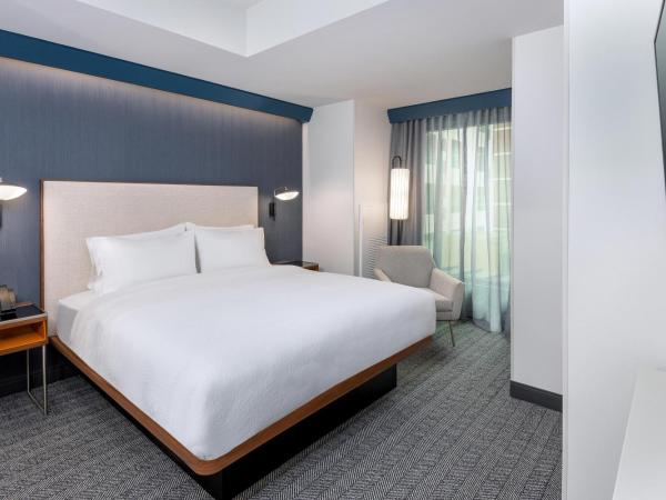 Courtyard by Marriott Atlanta Midtown : photo 2 de la chambre suite 1 chambre lit king-size avec canapé-lit