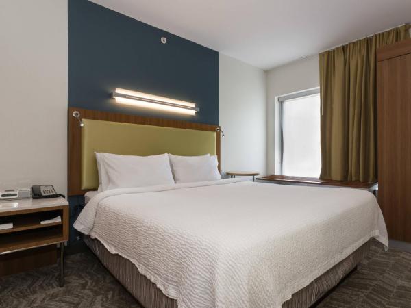 SpringHill Suites by Marriott Charlotte Ballantyne : photo 1 de la chambre studio lit king-size avec canapé-lit