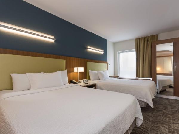 SpringHill Suites by Marriott Charlotte Ballantyne : photo 1 de la chambre studio lit queen-size avec canapé-lit