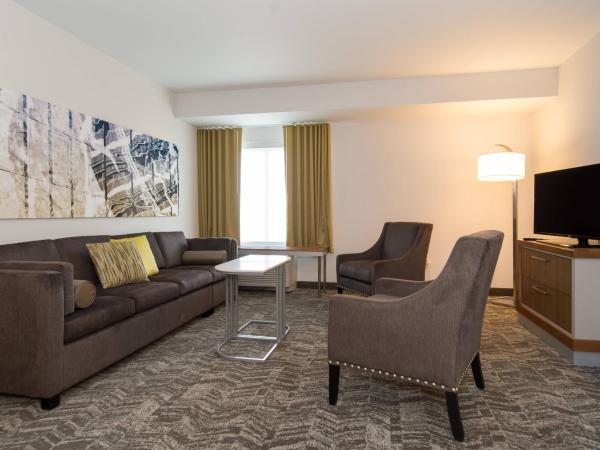 SpringHill Suites by Marriott Charlotte Ballantyne : photo 4 de la chambre suite 1 chambre avec 1 lit king-size et canapé-lit : 2