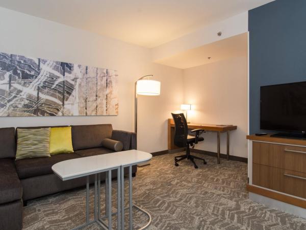 SpringHill Suites by Marriott Charlotte Ballantyne : photo 5 de la chambre suite 1 chambre avec 1 lit king-size et canapé-lit : 2