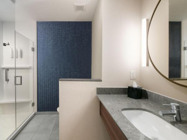 Fairfield by Marriott Inn & Suites Dallas East : photo 2 de la chambre chambre lit king-size