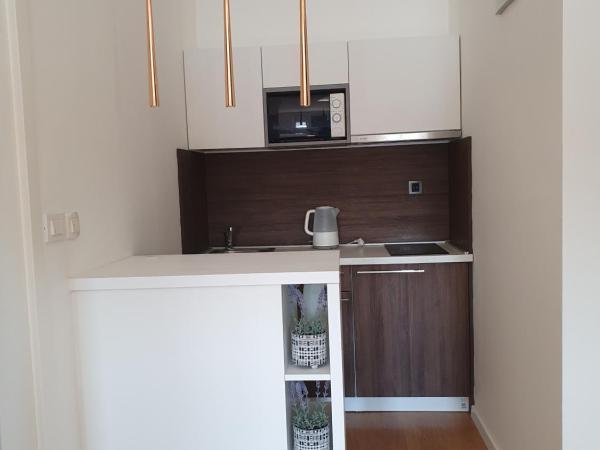 Accommodation Iva : photo 5 de la chambre studio