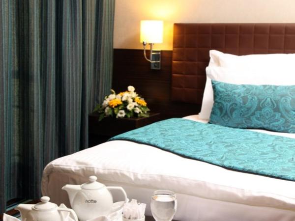 Notte Hotel : photo 6 de la chambre chambre double