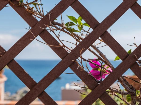 Hotel Villino Gallodoro : photo 6 de la chambre chambre double ou lits jumeaux supérieure avec terrasse – vue sur mer