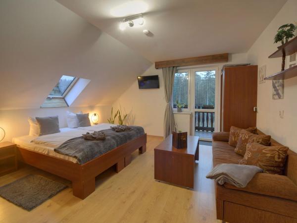 Safir przy samym WYCIĄGU : photo 7 de la chambre appartement avec terrasse